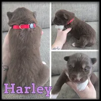 processed/880bad42-3891-4fb8-a1aa-f4a90f477ae5/listing/9eccfa79-2468-409c-a066-496bd3333303/9d3b7107-b747-46f5-a6d8-8894a21c6214