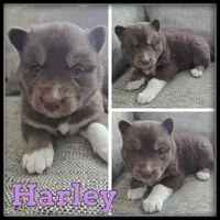 processed/880bad42-3891-4fb8-a1aa-f4a90f477ae5/listing/9eccfa79-2468-409c-a066-496bd3333303/a8e6dac6-c6b1-46e0-9cde-5bd1db5536cd