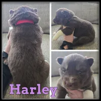 processed/880bad42-3891-4fb8-a1aa-f4a90f477ae5/listing/9eccfa79-2468-409c-a066-496bd3333303/cbb0e519-b840-40d1-aa4e-f98088cfe5f5