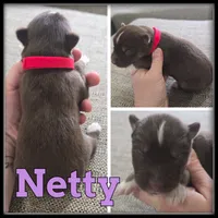 processed/880bad42-3891-4fb8-a1aa-f4a90f477ae5/listing/a0f206c3-eb7d-4164-8521-4d70f0a43f5b/16ae3f3b-79b4-4148-814a-5af50089c827