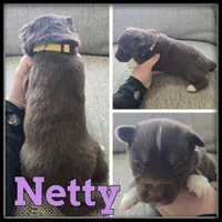 processed/880bad42-3891-4fb8-a1aa-f4a90f477ae5/listing/a0f206c3-eb7d-4164-8521-4d70f0a43f5b/43ee2f30-0777-4bd5-a9f6-aae1b90bd90b