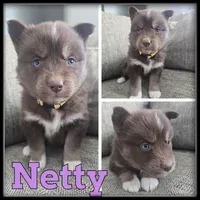 processed/880bad42-3891-4fb8-a1aa-f4a90f477ae5/listing/a0f206c3-eb7d-4164-8521-4d70f0a43f5b/5a768b2e-fbaf-421e-88bb-5078f9640fed