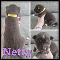 processed/880bad42-3891-4fb8-a1aa-f4a90f477ae5/listing/a0f206c3-eb7d-4164-8521-4d70f0a43f5b/8d543246-5324-4e0b-9862-895bc46aa66f