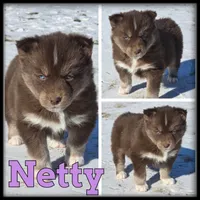 processed/880bad42-3891-4fb8-a1aa-f4a90f477ae5/listing/a0f206c3-eb7d-4164-8521-4d70f0a43f5b/bb374886-6d67-48cf-a98a-068e981fc51a