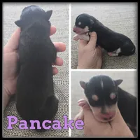 processed/880bad42-3891-4fb8-a1aa-f4a90f477ae5/listing/b9f4ea7a-2cc8-4c27-83c6-2ccd40f39a94/49845ead-7eb2-43d1-b8e9-132299180464