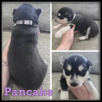 processed/880bad42-3891-4fb8-a1aa-f4a90f477ae5/listing/b9f4ea7a-2cc8-4c27-83c6-2ccd40f39a94/6027b8b0-df9f-4f53-b64a-74c33d3c2da6