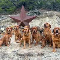 processed/880f50b9-c02c-47cd-ac3a-ba4d9817bad3/facility/046b0167-f1f1-4e98-aa59-a0951e0c35f8