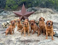 processed/880f50b9-c02c-47cd-ac3a-ba4d9817bad3/facility/046b0167-f1f1-4e98-aa59-a0951e0c35f8