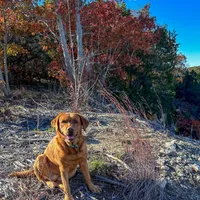 processed/880f50b9-c02c-47cd-ac3a-ba4d9817bad3/facility/15b9e089-a14f-4366-ad53-247cbbcfa900