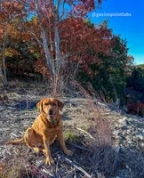 processed/880f50b9-c02c-47cd-ac3a-ba4d9817bad3/facility/15b9e089-a14f-4366-ad53-247cbbcfa900