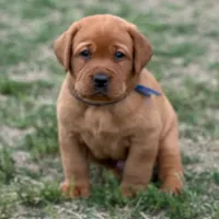 processed/880f50b9-c02c-47cd-ac3a-ba4d9817bad3/facility/2aae4c58-bd29-4181-b488-ae6376f34b9d