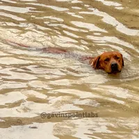 processed/880f50b9-c02c-47cd-ac3a-ba4d9817bad3/facility/814bdf86-ac2f-4bdf-a18e-821c36d614c1