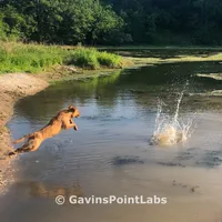 processed/880f50b9-c02c-47cd-ac3a-ba4d9817bad3/facility/851dda82-e385-4861-a984-694a8ba47b20