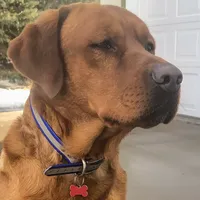 processed/880f50b9-c02c-47cd-ac3a-ba4d9817bad3/facility/9581e015-9656-4412-8bab-cb8a032b474a