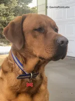 processed/880f50b9-c02c-47cd-ac3a-ba4d9817bad3/facility/9581e015-9656-4412-8bab-cb8a032b474a