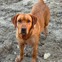 processed/880f50b9-c02c-47cd-ac3a-ba4d9817bad3/facility/a5337a62-1513-492a-9287-4e79109b28a9