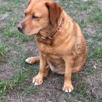 processed/880f50b9-c02c-47cd-ac3a-ba4d9817bad3/facility/b426ffd8-8a7e-4f2f-8df3-33e17191e750