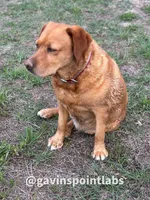 processed/880f50b9-c02c-47cd-ac3a-ba4d9817bad3/facility/b426ffd8-8a7e-4f2f-8df3-33e17191e750