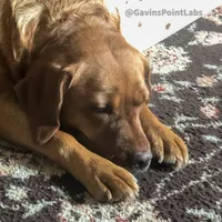 processed/880f50b9-c02c-47cd-ac3a-ba4d9817bad3/facility/d0eb9e09-ff5a-4bb7-89cd-de4342357bd2