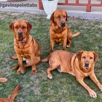 processed/880f50b9-c02c-47cd-ac3a-ba4d9817bad3/facility/e9b4c015-57c0-49a2-ad38-8ef87b500201