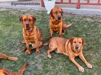 processed/880f50b9-c02c-47cd-ac3a-ba4d9817bad3/facility/e9b4c015-57c0-49a2-ad38-8ef87b500201