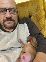 4th choice of 8, a male Labrador Retriever for sale in Bluff Dale, TX – Photo 8 of 10