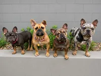 Facility photo