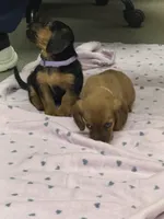 processed/881b1d86-1070-47a9-b467-f6ea89f18eaf/facility/5fec3326-8237-41e4-baa7-e64ba5eaf6db