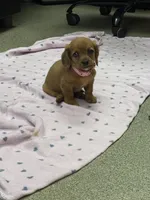 processed/881b1d86-1070-47a9-b467-f6ea89f18eaf/facility/a29dd5a1-e025-48d1-80f7-b15882c6cf4a