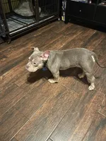 processed/88200d18-2b7a-4833-af7f-46961001e9e2/listing/c9d2d426-627e-4400-bddd-f0e2bd04879a/61eb007f-f451-4497-8768-97804d00dced