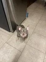 processed/88200d18-2b7a-4833-af7f-46961001e9e2/listing/c9d2d426-627e-4400-bddd-f0e2bd04879a/dc22984a-36ab-4831-ba1b-0f4e612a3007