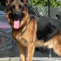 processed/883d3b9f-0132-410c-80d5-c23eaf0e2cb1/facility/41d0da17-c8ca-4c8b-992a-928dd999615c