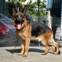 processed/883d3b9f-0132-410c-80d5-c23eaf0e2cb1/facility/f3234436-2ad3-437d-9eaf-724e372947f7