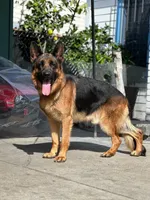 processed/883d3b9f-0132-410c-80d5-c23eaf0e2cb1/facility/f3234436-2ad3-437d-9eaf-724e372947f7