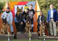 Bethy, a female German Shepherd Dog for sale in Los Angeles, CA – 4 of 7