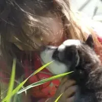 processed/883e36cd-235b-4503-8949-feb53fad2f6f/facility/de64f23e-a21b-40d3-adf8-933a8f55cc50