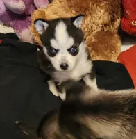 processed/883e36cd-235b-4503-8949-feb53fad2f6f/listing/a22fef29-73d9-49d5-9dad-636eeba9cc98/62ecd66d-f1d2-4bed-b420-4e1ccddc7136