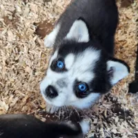 processed/883e36cd-235b-4503-8949-feb53fad2f6f/listing/a22fef29-73d9-49d5-9dad-636eeba9cc98/74feab82-9fa7-4ded-9f58-46f6b271fb29