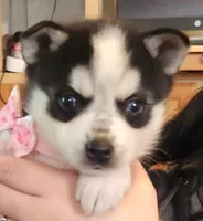 processed/883e36cd-235b-4503-8949-feb53fad2f6f/listing/a22fef29-73d9-49d5-9dad-636eeba9cc98/b3754a45-3996-48bd-a2f9-4b33a5297e61