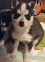 processed/883e36cd-235b-4503-8949-feb53fad2f6f/listing/a22fef29-73d9-49d5-9dad-636eeba9cc98/d3ecd313-2b1e-4a24-9d14-68ec92f89ca2