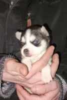 processed/883e36cd-235b-4503-8949-feb53fad2f6f/listing/d958d2e6-eb37-4a6f-a0d4-a20e8a81f467/2c006482-dda4-4cda-b3a1-4325c1ba0bd2