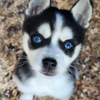 processed/883e36cd-235b-4503-8949-feb53fad2f6f/listing/d958d2e6-eb37-4a6f-a0d4-a20e8a81f467/86643e12-f59f-4bc0-92ef-780728d0377d