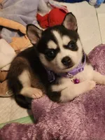 processed/883e36cd-235b-4503-8949-feb53fad2f6f/listing/d958d2e6-eb37-4a6f-a0d4-a20e8a81f467/96849707-e53a-4497-88e2-03017648d566