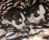 processed/883e36cd-235b-4503-8949-feb53fad2f6f/listing/d958d2e6-eb37-4a6f-a0d4-a20e8a81f467/eee34122-e9da-4924-ba5d-73f98ed13dff