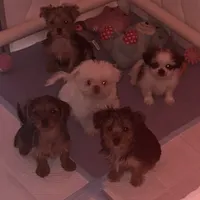 processed/88444d2c-7276-4abe-92eb-da1a5cd40159/facility/efe1ac84-b938-4b8d-9bd7-de329c6d464a