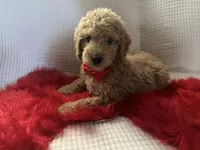 processed/88444d2c-7276-4abe-92eb-da1a5cd40159/listing/00a3aab4-5651-412a-8fd5-513fc5f13f01/10e715e1-d822-4563-bd66-1bdd3a34a473