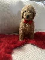 processed/88444d2c-7276-4abe-92eb-da1a5cd40159/listing/00a3aab4-5651-412a-8fd5-513fc5f13f01/34557469-5c9a-4c88-8b72-c2db6af9a7ce