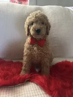 processed/88444d2c-7276-4abe-92eb-da1a5cd40159/listing/00a3aab4-5651-412a-8fd5-513fc5f13f01/4de135a0-a654-4754-a4a9-72a1ffcffc12