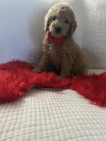 processed/88444d2c-7276-4abe-92eb-da1a5cd40159/listing/00a3aab4-5651-412a-8fd5-513fc5f13f01/76e0af4c-2bdf-44a2-bba1-5cb9589b1ae1