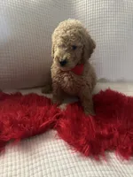 processed/88444d2c-7276-4abe-92eb-da1a5cd40159/listing/00a3aab4-5651-412a-8fd5-513fc5f13f01/92ea09d5-2972-4aa2-aea6-a41f64023259